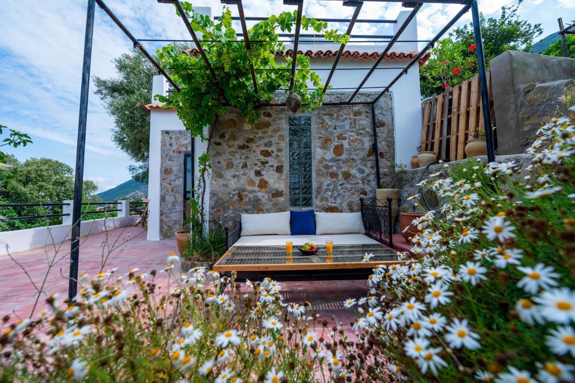Farm Finn Chefchaouen Kültér fotó